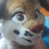 smoresdogg from onlyfans