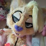 softtrashy from onlyfans