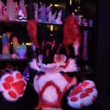 lilkojikitten from onlyfans