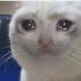 u8905681 from onlyfans