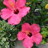 momma.tim from onlyfans